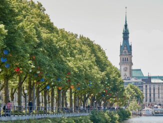 Erstmals seit 2011 hat die Stadt Hamburg mehr Bäume pflanzen als fällen lassen. (Foto-Archiv)