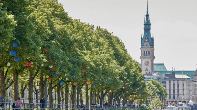 Erstmals seit 2011 hat die Stadt Hamburg mehr Bäume pflanzen als fällen lassen. (Foto-Archiv) 