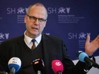 Schleswig-Holsteins Landwirtschaftsministerium will die Jagdzeiten für Gänse ändern. (Archivbild)