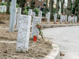 Granit-Stelen haben in Lübeck die Gemüter erhitzt. Nun kommen 150 davon wieder weg. (Archivbild)