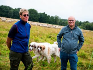 Schleswig-Holsteins Umweltminister Tobias Goldschmidt sprcht mit Schäferin Heike Griem über effektiven Schutz von Schafen vor Wolfsangriffen.