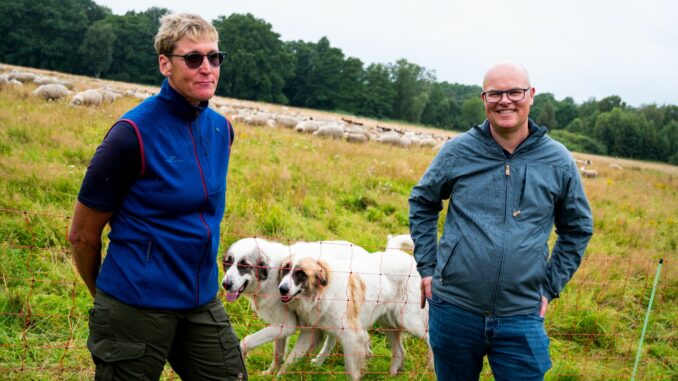 Schleswig-Holsteins Umweltminister Tobias Goldschmidt sprcht mit Schäferin Heike Griem über effektiven Schutz von Schafen vor Wolfsangriffen.