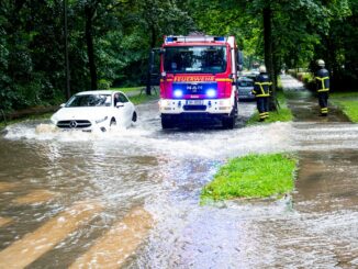 Nach schweren Regenfällen warnt das Bezirksamt Hamburg-Mitte vor umstürzenden Bäumen.