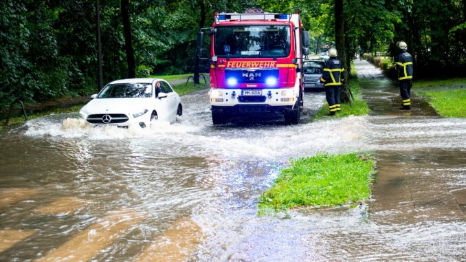 Nach schweren Regenfällen warnt das Bezirksamt Hamburg-Mitte vor umstürzenden Bäumen.