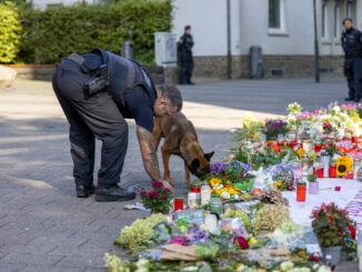 Tödliche Messerattacke von Solingen: Polizeigewerkschaft hält Verschärfung des Waffenrechts für unzureichend.