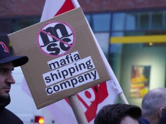 Wenige Tage vor der abschließenden Entscheidung über den umstrittenen Einstieg der Reederei MSC beim Hamburger Hafenlogistiker HHLA ruft die Gewerkschaft Verdi zu einer weiteren Demonstration auf.