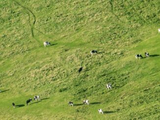 Die Preise für landwirtschaftliche Flächen im Norden steigen weiter. (Archivbild)