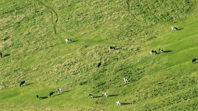 Die Preise für landwirtschaftliche Flächen im Norden steigen weiter. (Archivbild)