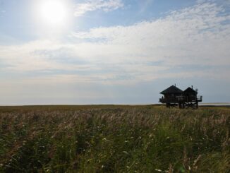 Die sogenannten Vogelinseln und -halligen in Nord- und Ostsee sind Natur- und Vogelschutzgebiete, die wenn überhaupt nur mit Ausnahmegenehmigung betreten werden dürfen.