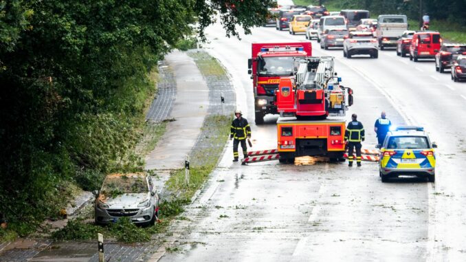 Gewitter mit kräftigen Regenfällen sorgten in Hamburg für Einsätze.