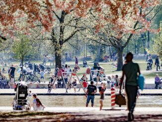 Weil im Becken Glassplitter gefunden wurden, musste das Planschbecken im Stadtpark zunächst geschlossen werden. (Archivbild)