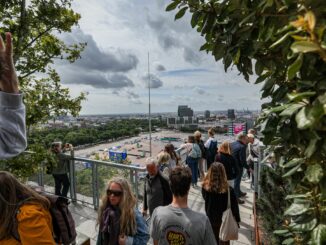 Rund 4.000 Menschen laufen täglich auf den gegrünten Bunker am Heiligengeistfeld.