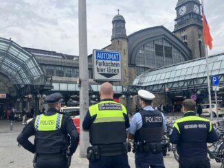 Gewaltkriminalität rund um den Hamburger Hauptbahnhof nimmt zu. (Archivfoto)