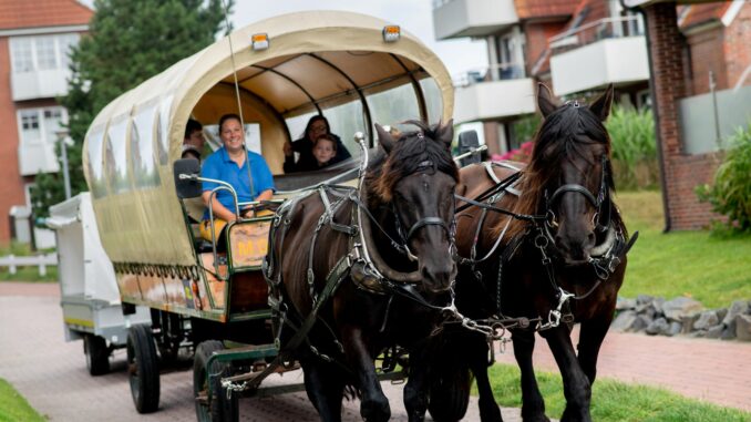 Drei Kutschbetriebe und eine Inselspedition transportieren auf Baltrum Waren, Möbel, Müll, Baumaterialien und Urlaubsgäste mit Arbeitspferden.