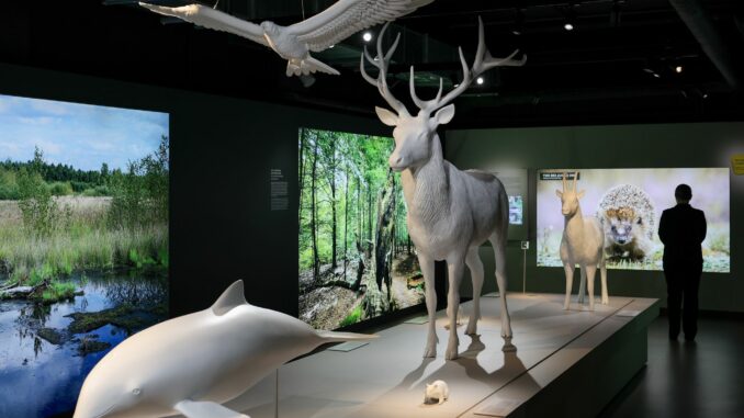 Auf 2.200 Quadratmetern möchte die Deutsche Wildtier Stiftung die Besucher der «Botschaft der Wildtiere» animieren, die Natur zu entdecken und zu verstehen.