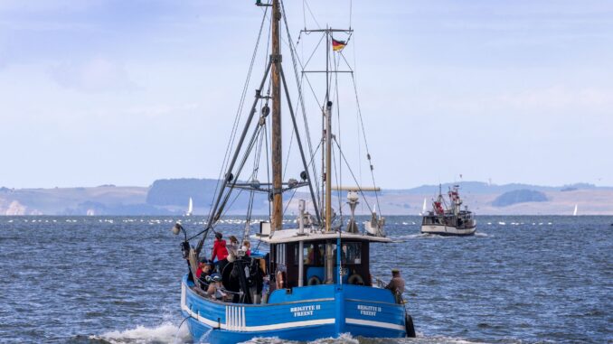 Fischkutter fahren vom Meeresarm Peenestrom auf die Ostsee. (Archivbild)