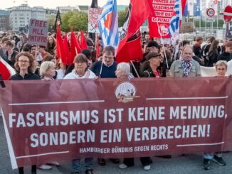 Anti-AfD-Demo in Hamburg mit Hunderten Demonstranten