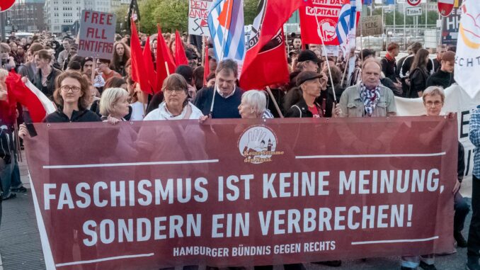 Anti-AfD-Demo in Hamburg mit Hunderten Demonstranten 