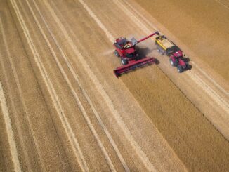 Regenwetter und schwieriger Pflanzenschutz bereitet den Landwirten Probleme, berichtet der Bauernverband. (Archivbild)