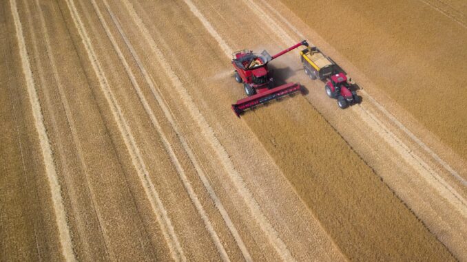 Regenwetter und schwieriger Pflanzenschutz bereitet den Landwirten Probleme, berichtet der Bauernverband. (Archivbild)