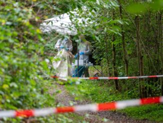 Mitarbeiter der Spurensicherung arbeiten nach dem Leichenfund auf einem abgesperrten Waldweg.