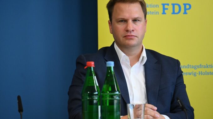 Christopher Vogt kritisiert das Sicherheitspaket der Landesregierung in Schleswig-Holstein. (Archivbild)