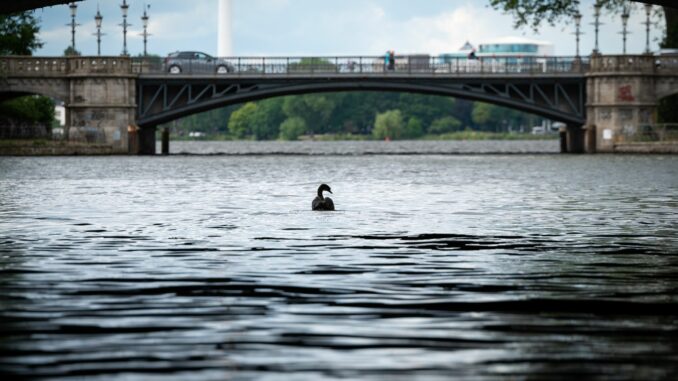 Den Norden erwartet wechselhaftes Wetter - bei Temperaturen von 13 bis 16 Grad. (Archivbild)