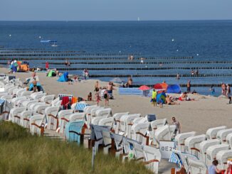 In der Ostsee wurden teils «extrem hohe Temperaturen» gemessen. (Symbolbild)