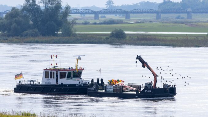 Das Hochwasser der Elbe hat Mecklenburg-Vorpommern erreicht.