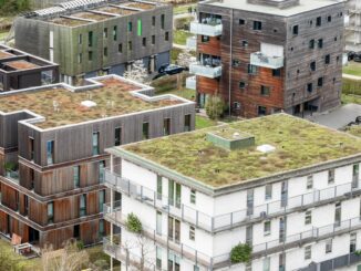 Begrünte Dächer in Hamburg. Eine Studie eines Forschungsvorhabens an der Universität Hamburg hält das Erreichen des 1,5-Grad-Ziels unverändert für unplausibel. (Symbolbild)