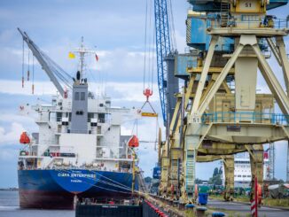 Ein Frachtschiff wird im Rostocker Seehafen beladen. (Archivbild)