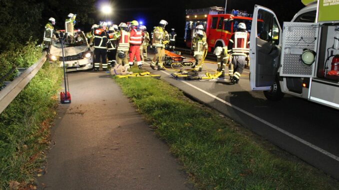 Ein Taxifahrer und zwei Pferde starben.