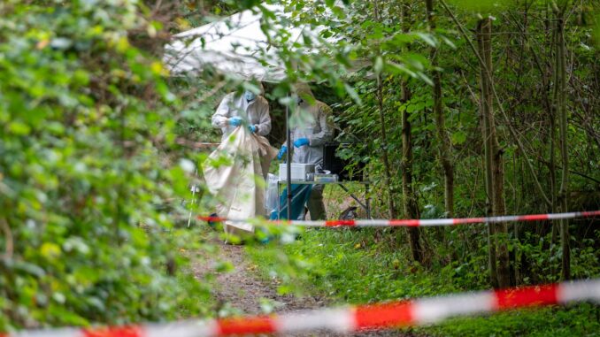 Mitarbeiter der Spurensicherung arbeiten nach dem Leichenfund auf einem abgesperrten Waldweg.