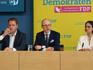 SPD und FDP haben Klage gegen den Haushalt 2024 eingelegt.