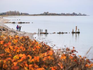 Die Buchungslage in Schleswig-Holstein ist für die Herbstferien bis auf wenige Ausnahmen noch verhalten. (Archivbild)