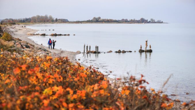 Die Buchungslage in Schleswig-Holstein ist für die Herbstferien bis auf wenige Ausnahmen noch verhalten. (Archivbild)