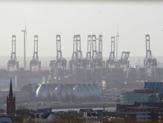 Der Bund der Steuerzahler Hamburg hat herausgefunden, dass der Ausbau und die Sanierung einer Hamburger Klärschlammanlage teurer werden als geplant. (Archivbild)