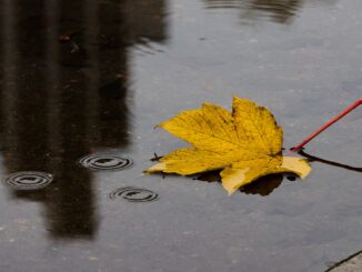 Die sonnigen Herbsttage sind erstmal vorbei. In den kommenden Tagen wird es wolkig und feucht. (Illustration)