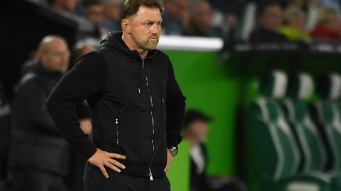 Nicht zufrieden: Wolfsburgs Trainer Ralph Hasenhüttl.