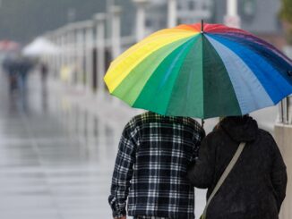 Regen und zum Teil auch stürmischer Wind prägen das Wetter in den nächsten Tagen. (Archivbild)