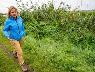 Moore sind nach den Worten von Bundesumweltministerin Steffi Lemke (Grüne) «Alleskönner». Doch nur, wenn sie intakt sind. (Archivbild)