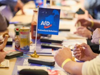 Mitglieder der AfD sitzen beim Landesparteitag der AfD Schleswig-Holstein im Bürgerhaus an ihren Plätzen.