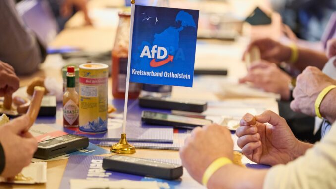 Mitglieder der AfD sitzen beim Landesparteitag der AfD Schleswig-Holstein im Bürgerhaus an ihren Plätzen.