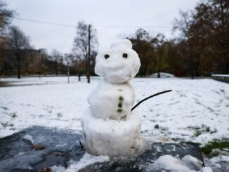 In Hamburg und Schleswig-Holstein ist in der Nacht der erste Schnee liegen geblieben.