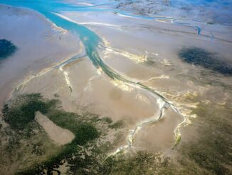 Der Meeresspiegelanstieg und höhere Temperaturen bedrohen das Unesco-Weltnaturerbe Wattenmeer. (Archivbild)