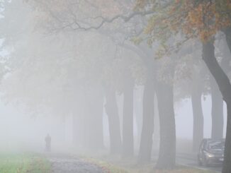 Trübes-nebliges Wetter erwartet die Menschen in Norddeutschland bis zum Wochenende. (Archivbild)