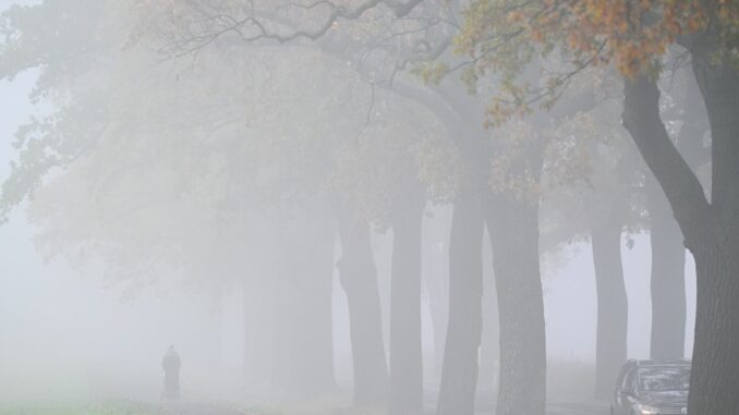 Trübes-nebliges Wetter erwartet die Menschen in Norddeutschland bis zum Wochenende. (Archivbild)