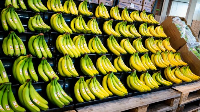 Im Hamburger Hafen ist ein neues Edeka-Fruchtkontor eröffnet worden.