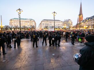 Die vielen Demonstrationen in den ersten neun Monaten des Jahres haben die Hamburger Polizei viel Arbeitszeit gekostet. (Archivfoto)