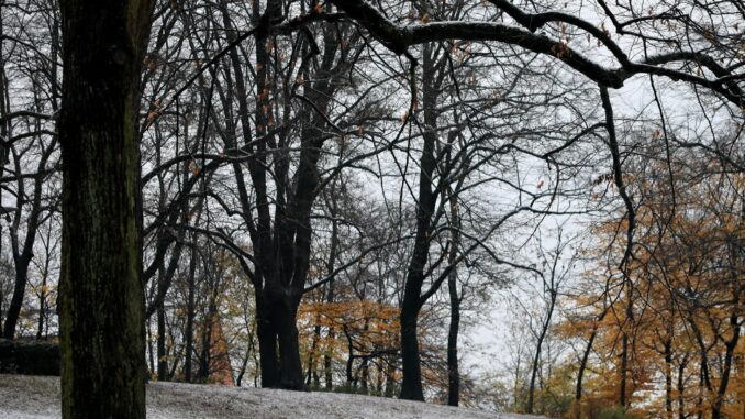 Kaum da, schon wieder weg, der Schnee im Norden. 